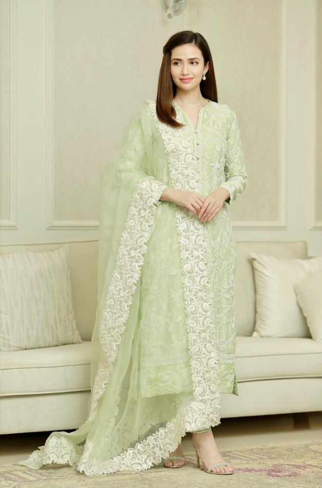 1_233ae24e-9aa7-4fa2-82aa-e9572cd53f45.png Lawn 3 Pc Fully Embroided Suit(Embroided Organza Dupatta) BR-335 - Image 1